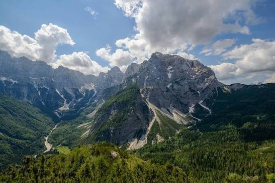 Wecer Farm · Fotografija 22